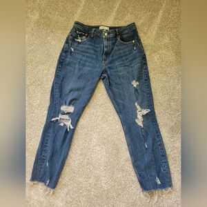 Abercrombie & Fitch Curve Love High Rise Mom Jeans